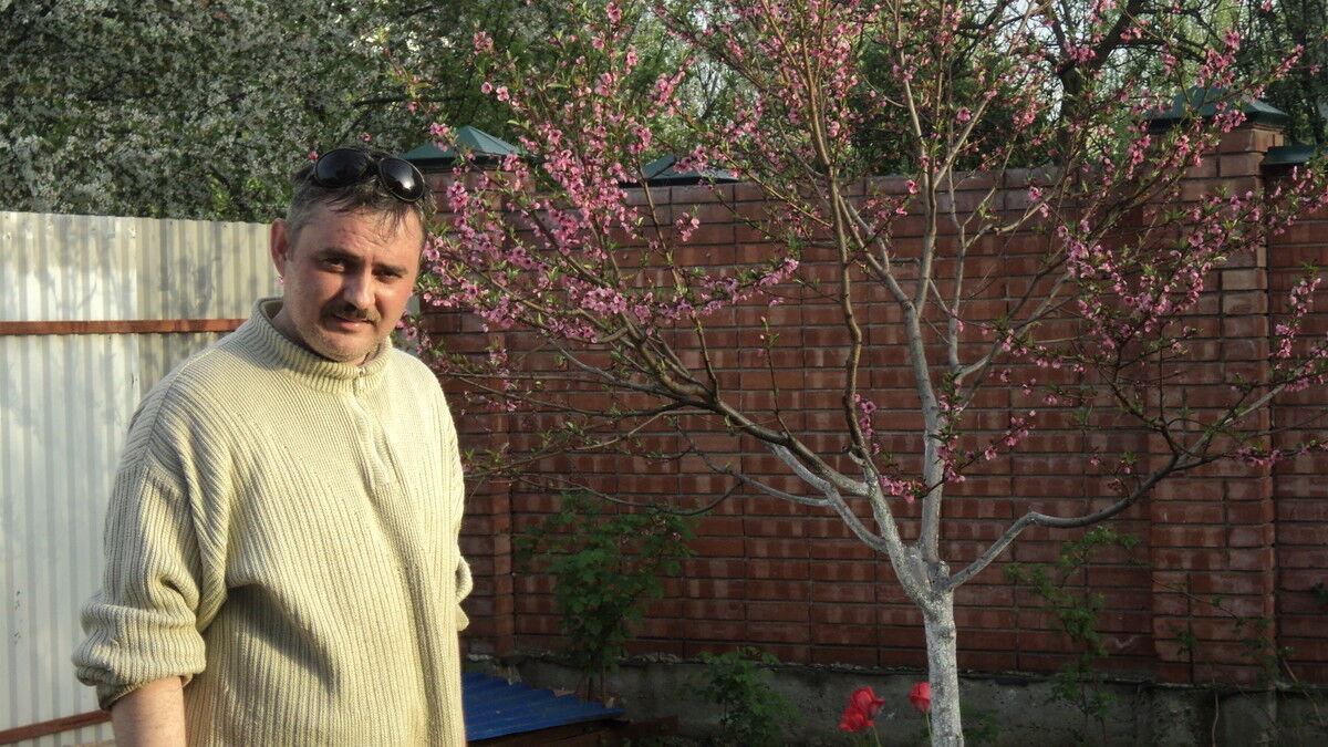  ,   , 48 ,   ,   , c 