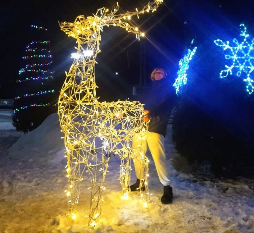 ���� 50802725 ����� ������, 22 ����, ���� ���������� � ����