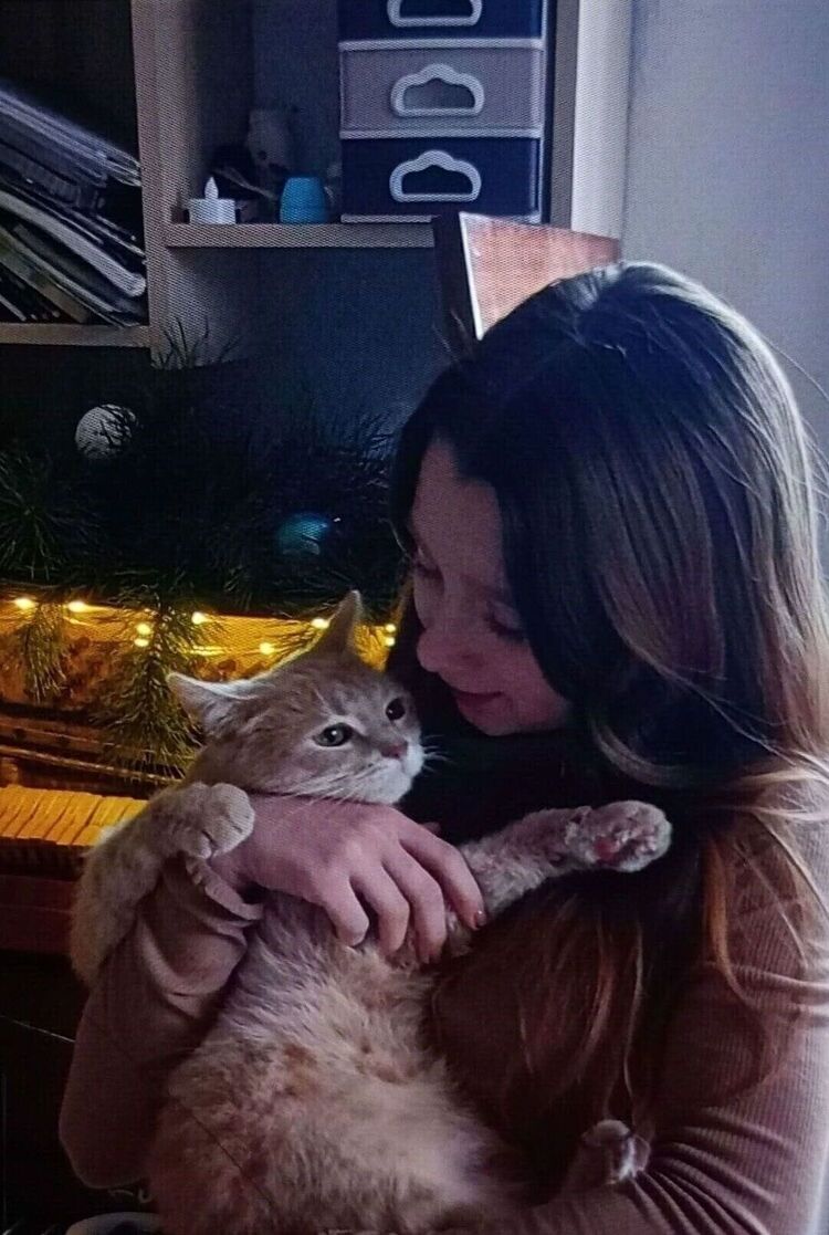 ���� 56178265 ������� ���������, 18 ���, ���� ���������� � ���������