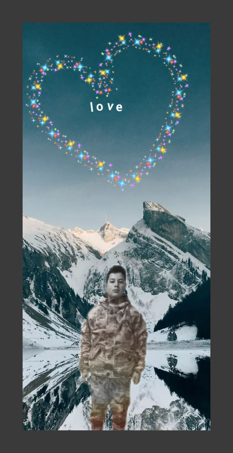  26509655  , 21 ,    