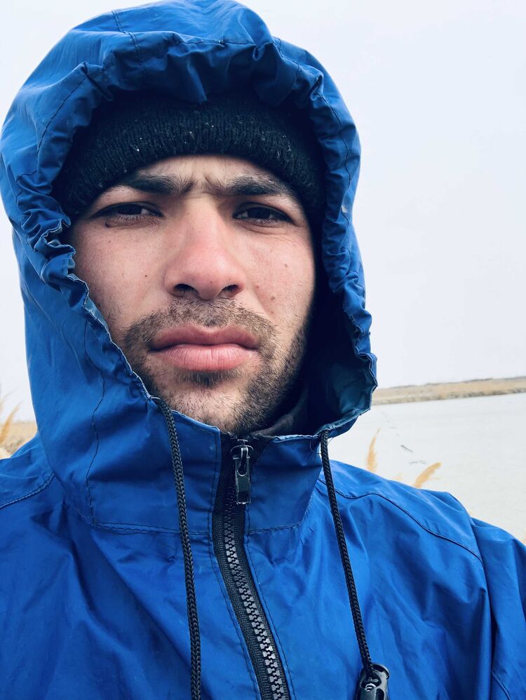  34590645  , 20 ,    