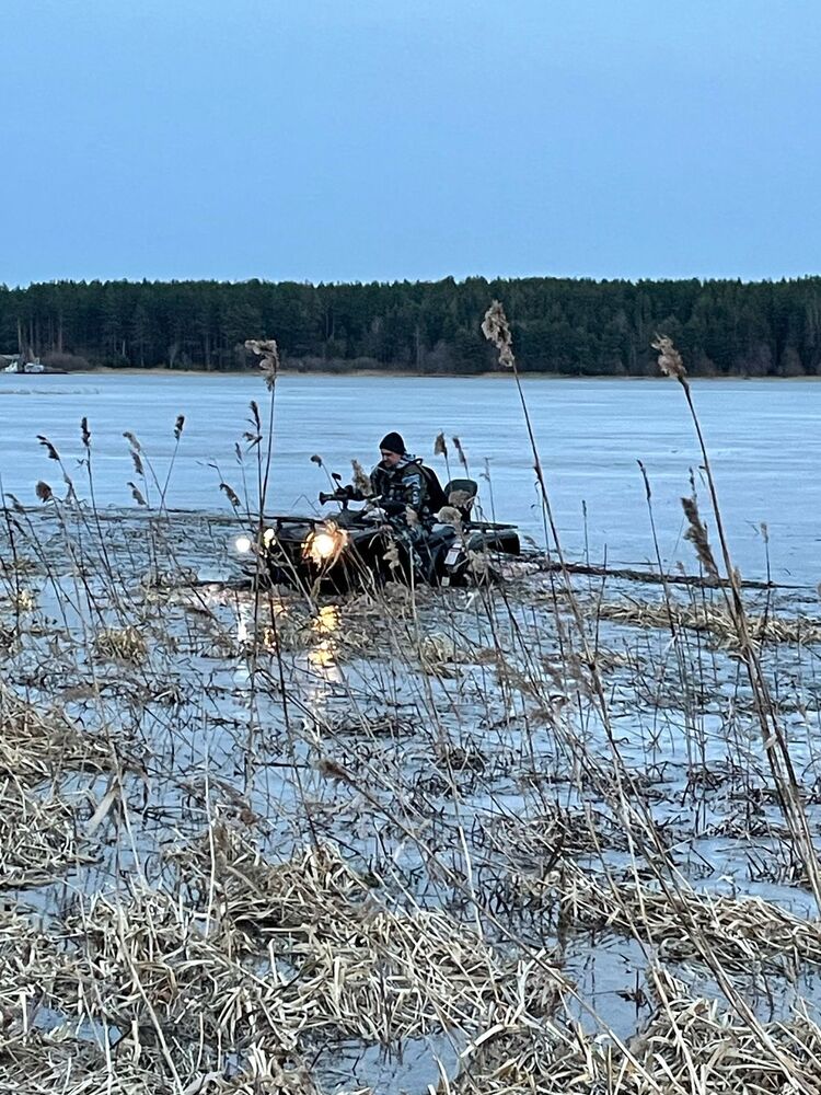 ���� 55800795 ������� �������, 52 ����, ���� ���������� � �����