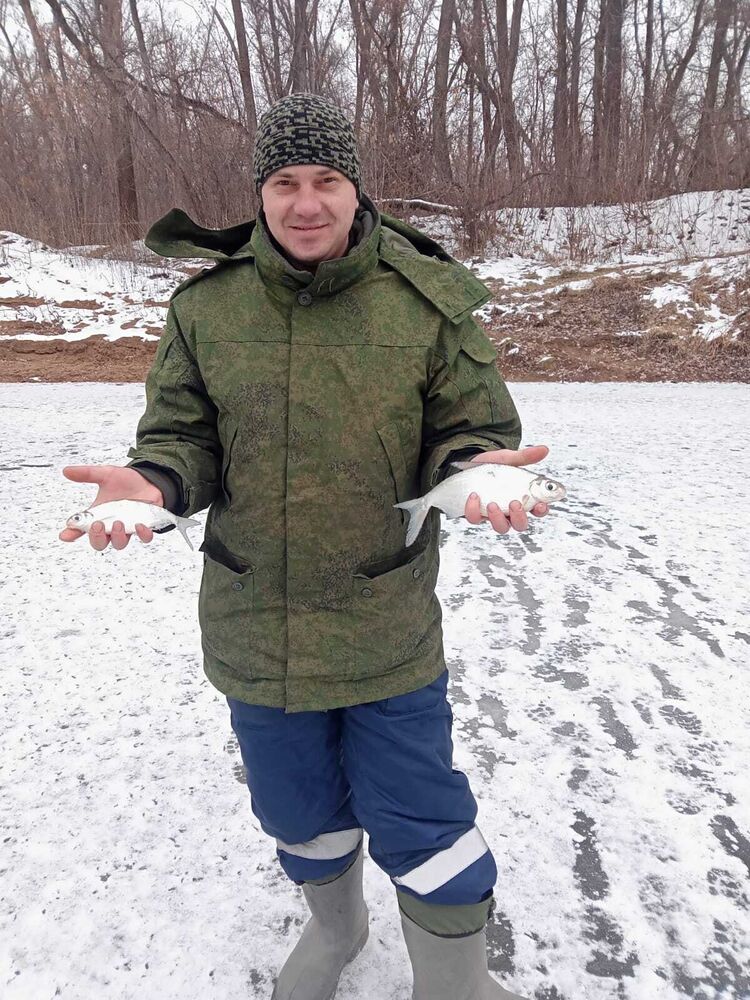 ���� 31369285 ������� �������, 50 ���, ���� ���������� � ����������