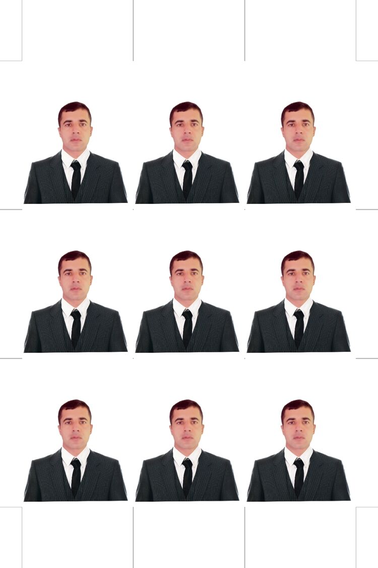  53607885   , 31 ,    