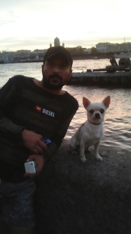  8097965  , 49 ,    -