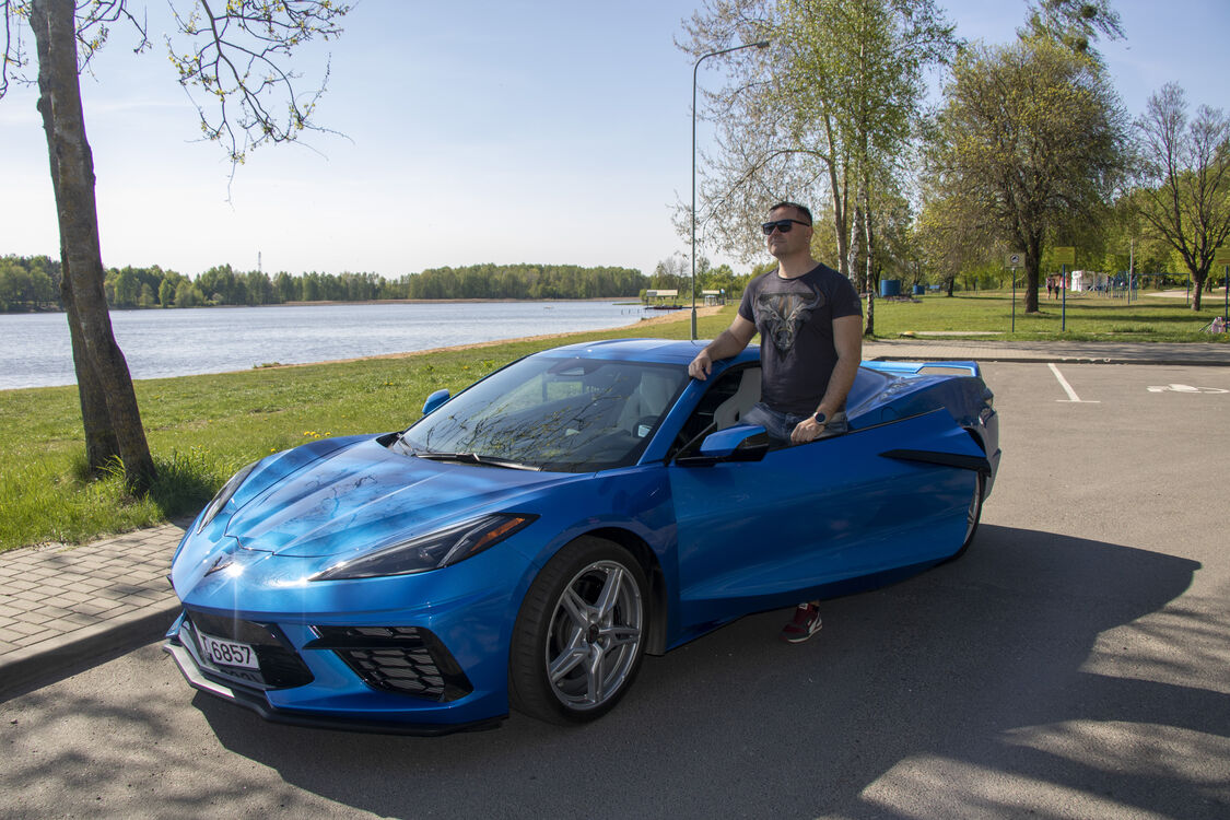 ���� 56309115 ������� �������, 42 ����, ���� ���������� � �����������