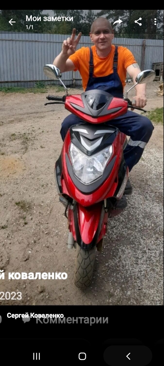  41536205  , 51 ,    