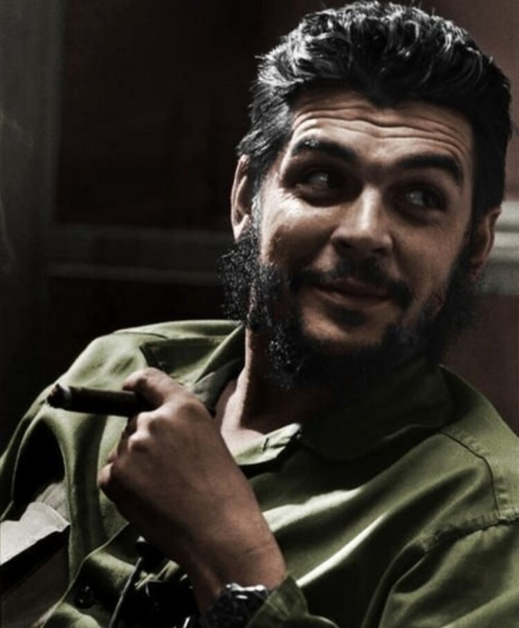 ���� 26231545 ������� ALI, 28 ���, ���� ���������� � �����