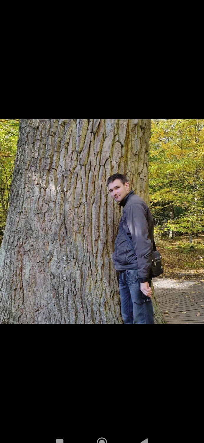 ���������� ������, ���� ������� ���������, 32 ����, ������������ ��� ������, ����� � ���������, c�������� ���������, ���������