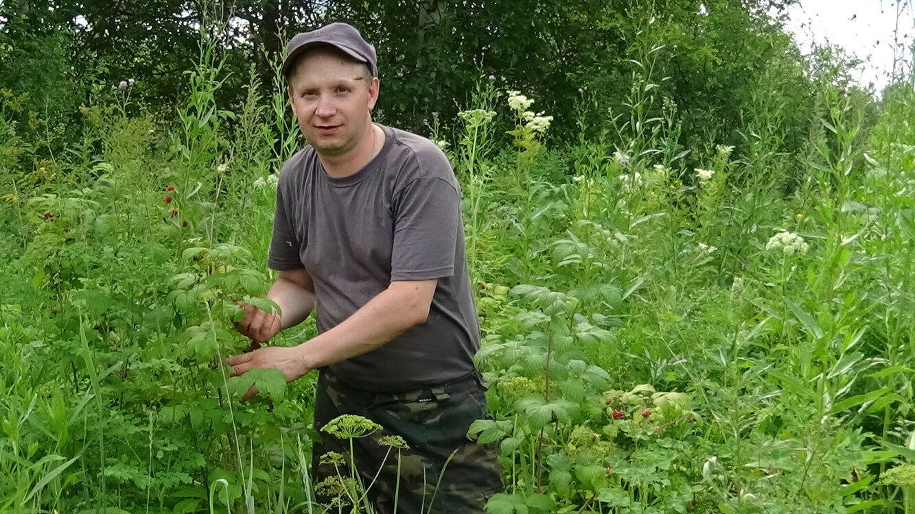 ���������� �����, ���� ������� ����, 45 ���, ������������ ��� ����� � ���������, c�������� ���������, ���������