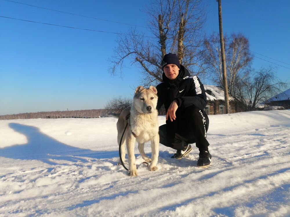 ���������� �����������, ���� ������� ����, 29 ���, ������������ ��� ������, ����� � ���������, c�������� ���������