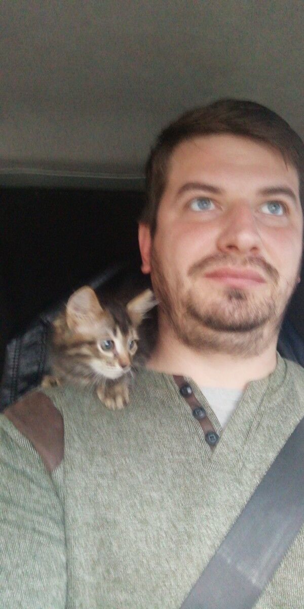 ���� 18368955 ������� �������, 37 ���, ���� ���������� � ���