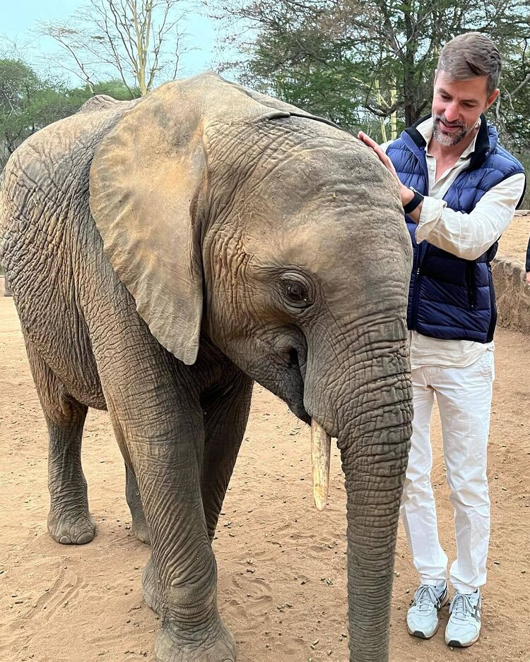 ���� 43998215 ������� ������, 41 ���, ���� ���������� � �������������