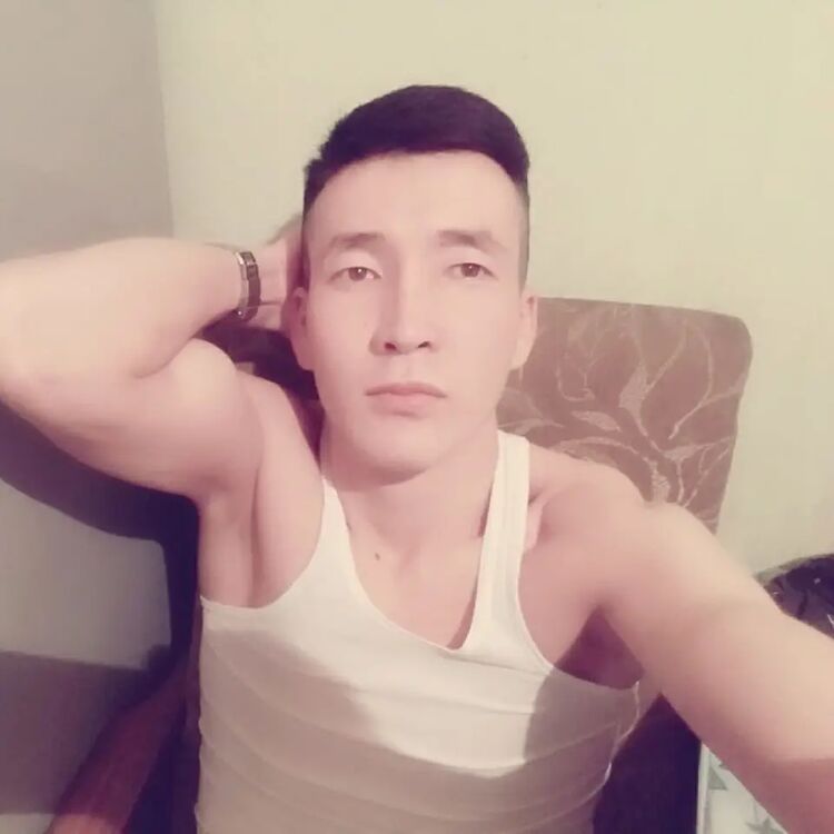  24045475  , 29 ,    -