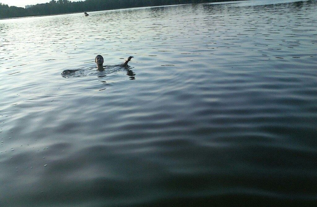 ���������� ������, ���� ������� ARTUR, 35 ���, ������������ ��� ������, ����� � ���������, c�������� ���������, ���������