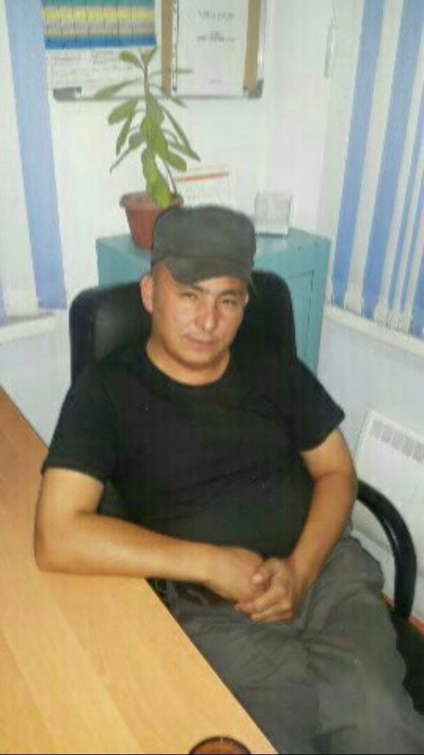  15040355  , 43 ,    