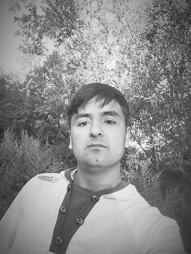 ���������� ��������, ���� ������� Safar, 34 ����, ������������ ��� ������, ����� � ���������, c�������� ���������