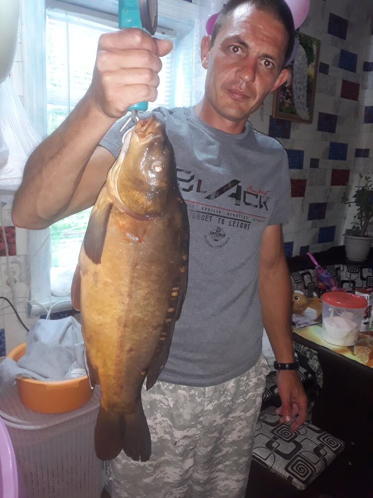  ,   , 37 ,   ,   , 