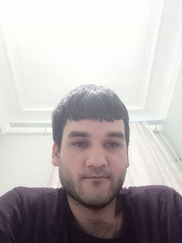  41981835  , 33 ,    -
