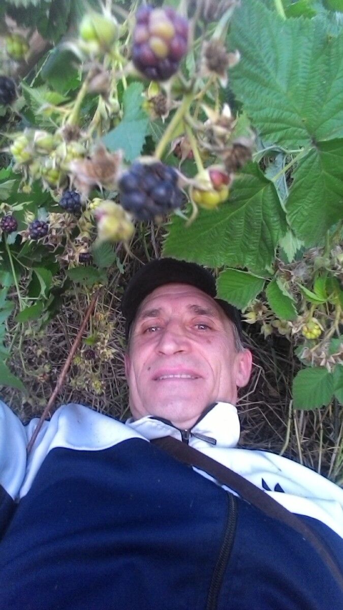 ���������� ����, ���� ������� ��� ����, 56 ���, ������������ ��� ������, ����� � ���������, c�������� ���������