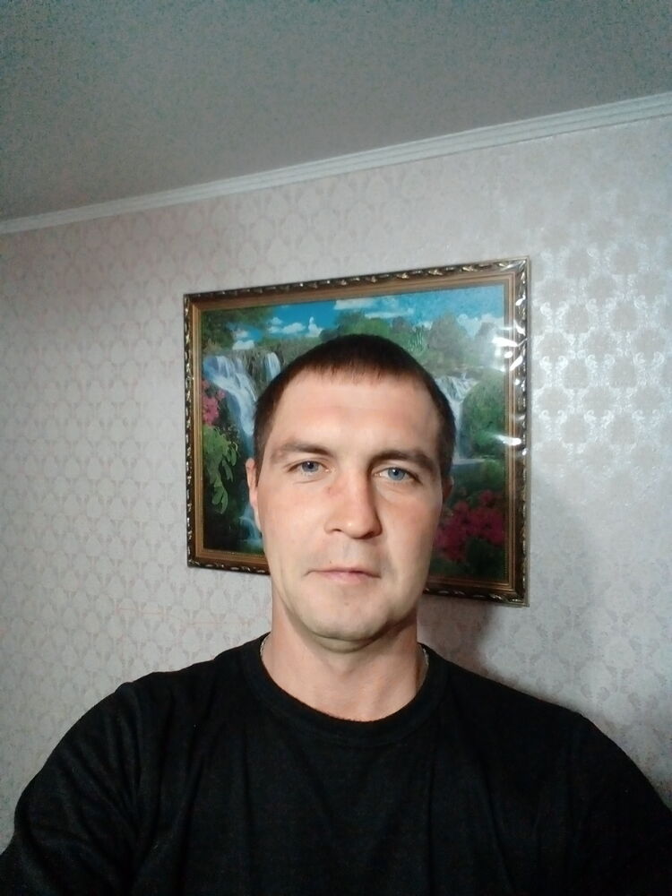  27530565  , 38 ,    