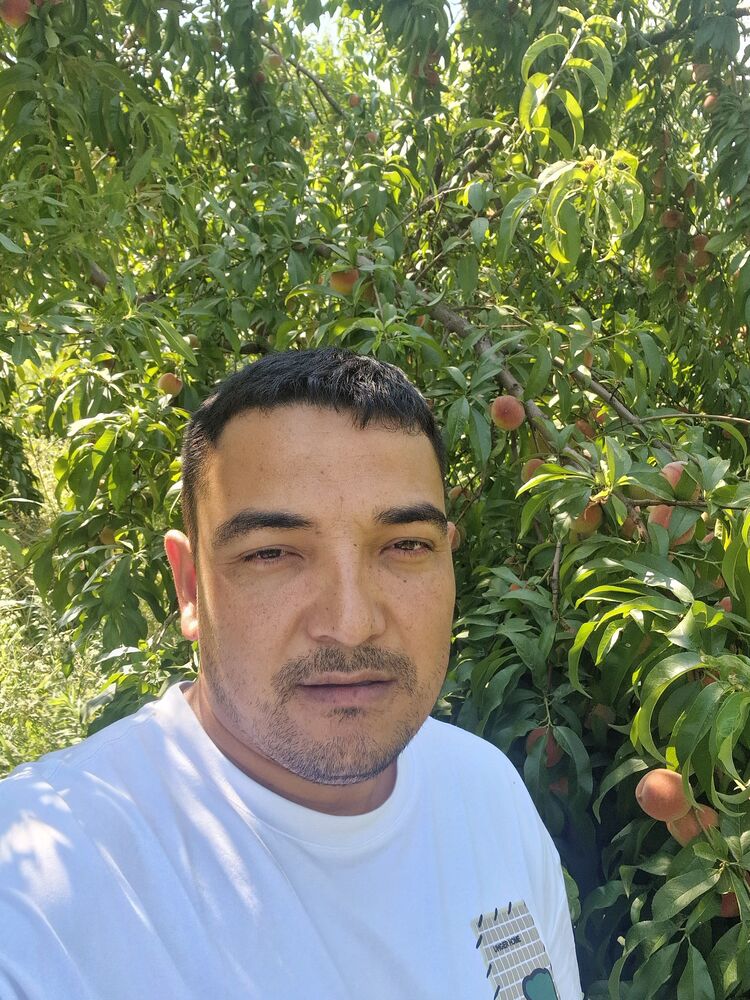 ���������� ������, ���� ������� ������, 32 ����, ������������ ��� ����� � ���������, c�������� ���������