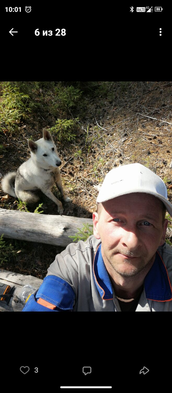 ���� 55651665 ������� �������, 42 ����, ���� ���������� � ����������