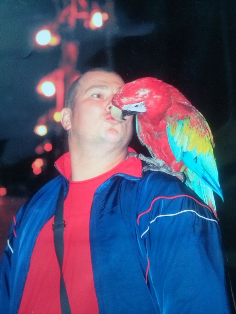  ,   , 44 ,   