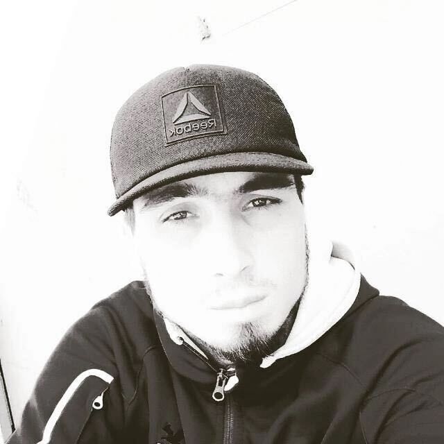  52835865  , 31 ,    