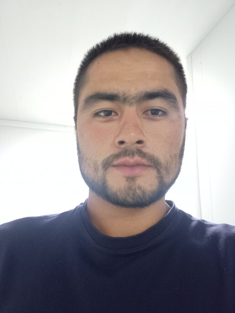  36038515  , 28 ,    