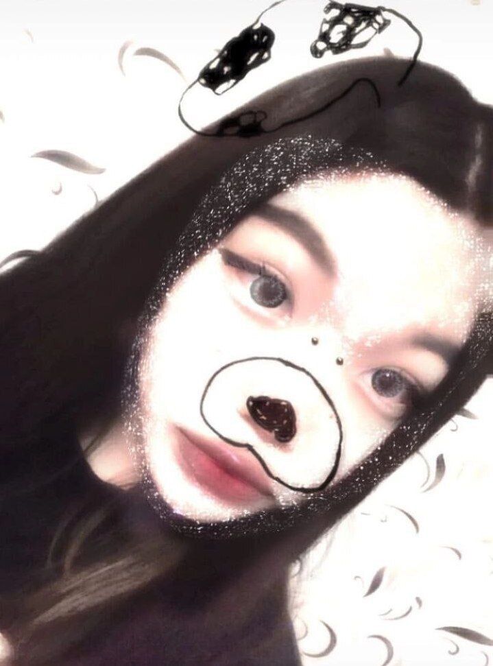  39698005  , 24 ,    