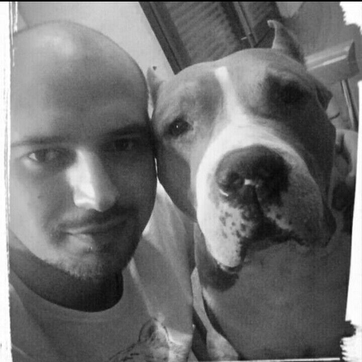 ���� 11162375 ������� �������, 40 ���, ���� ���������� � ������