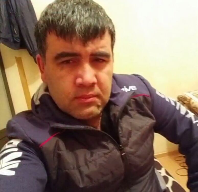 ���� 35556815 ������� �����, 40 ���, ���� ���������� � ��������