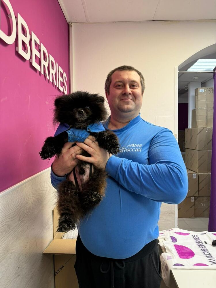 ���������� ������, ���� ������� ������, 41 ���, ������������ ��� ����� � ���������, c�������� ���������