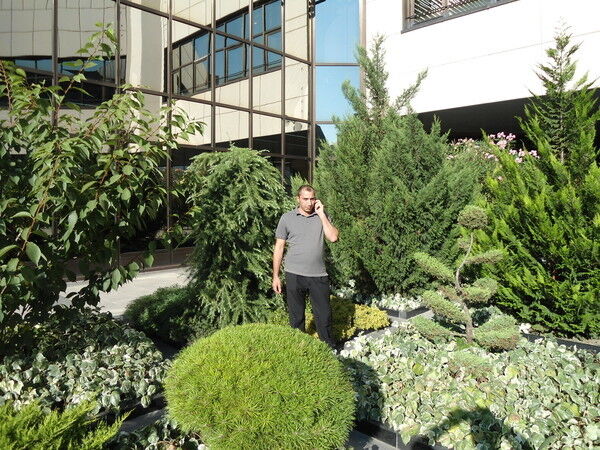 ���� 5486565 ������� Rubik, 52 ����, ���� ���������� � �������