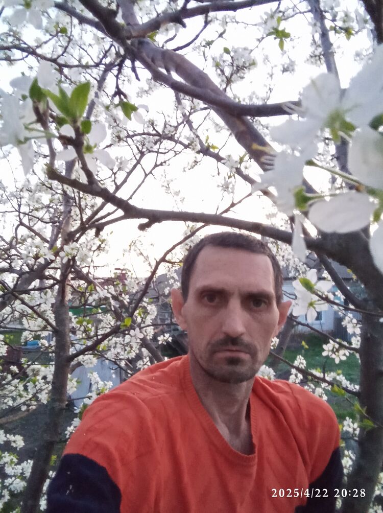 ���� 55689335 ������� ���, 43 ����, ���� ���������� � ��������