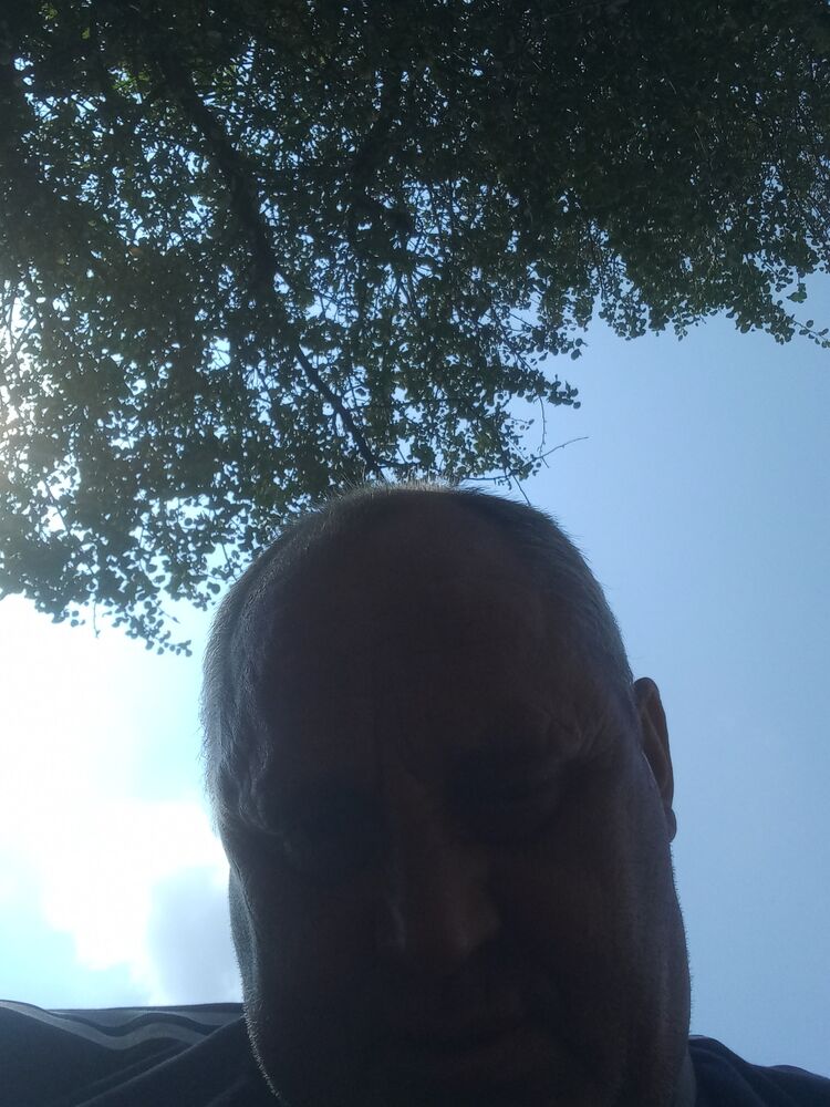  37338245  , 53 ,    