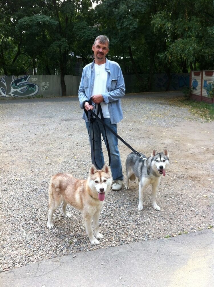  ,   , 55 ,   