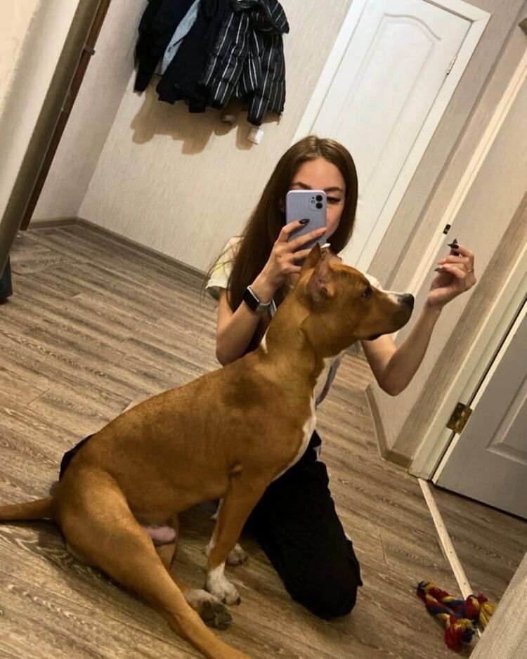  ,   , 26 ,   ,   , 