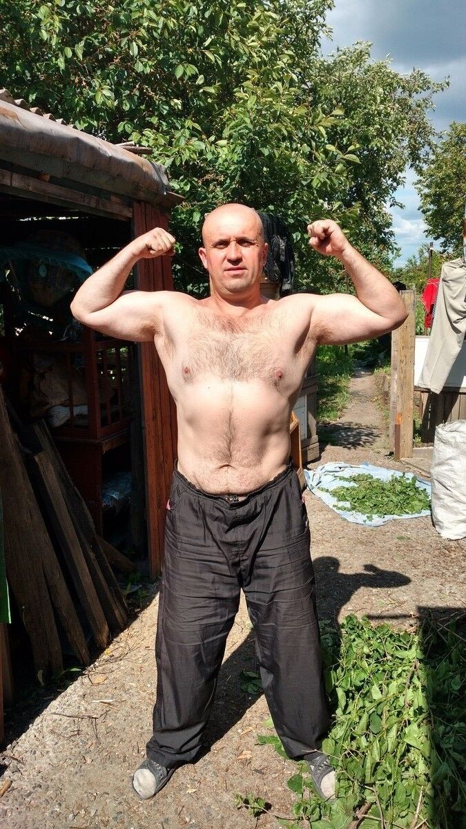  ,   , 53 ,  