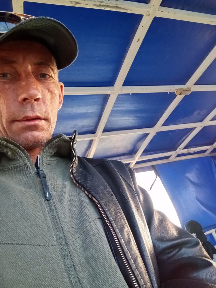  48083805  , 43 ,    