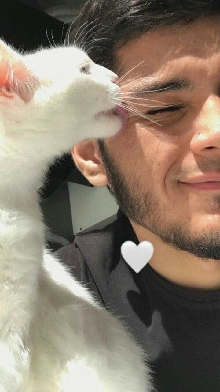 ���������� ������, ���� ����� ����, 24 ����, ������������ ��� ������, ����� � ���������