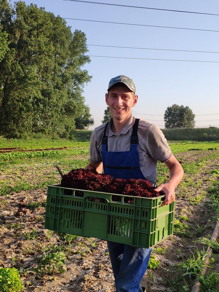 ���� 19885045 ������� ����, 26 ���, ���� ���������� � ��������