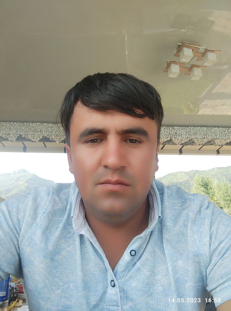  34526665  , 33 ,    