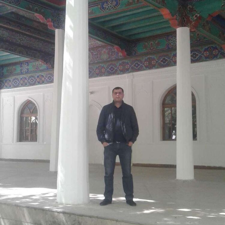  31466245  , 37 ,    -