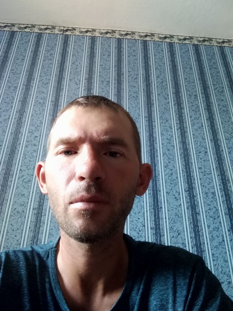  28589195  , 41 ,    