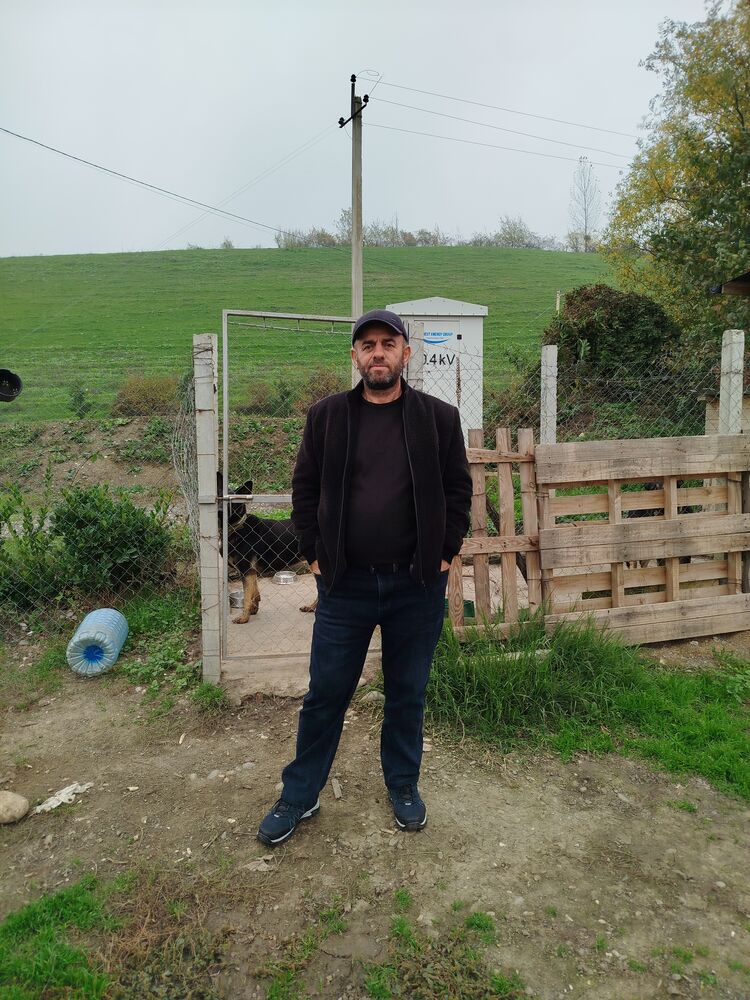 ���������� ����, ���� ������� Kamran, 50 ���, ������������ ��� ������, ����� � ���������