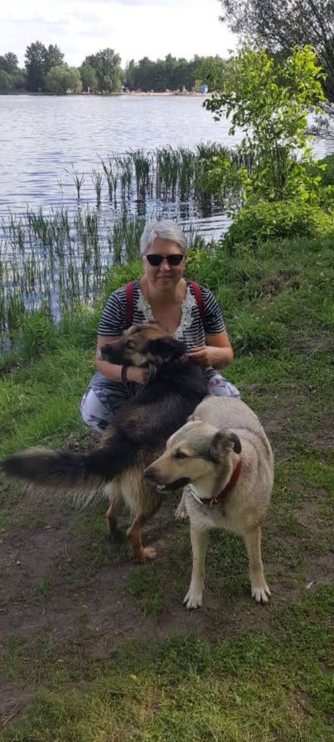 ���������� ������, ���� ������� �����, 61 ���, ������������ 