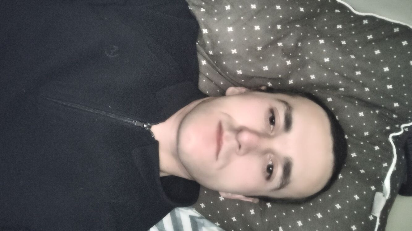  48204375  , 38 ,     