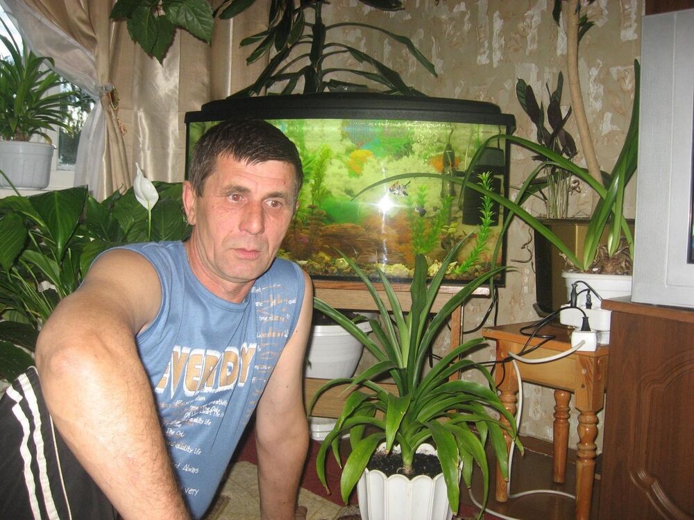  ,   , 64 ,  